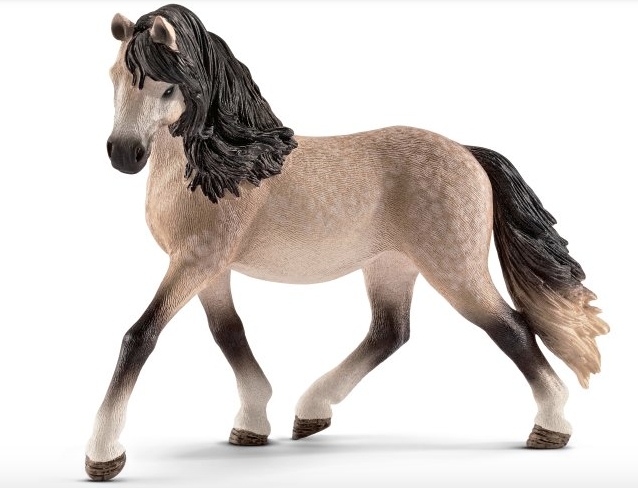 Andalusian Mare