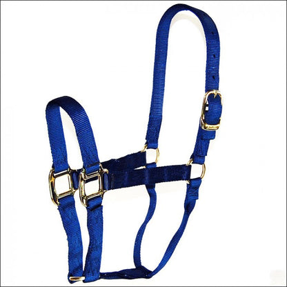 Hamilton Yearling Halter