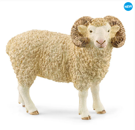 Ram