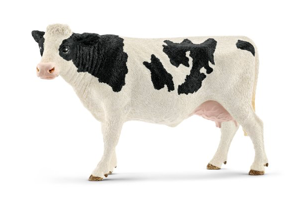 Holstein Cow