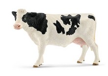 Holstein Cow