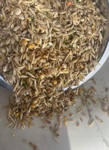 Petes Feed Organic Chicken Scratch- 20 kg
