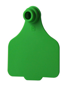 Leader Large Tags (25pk)