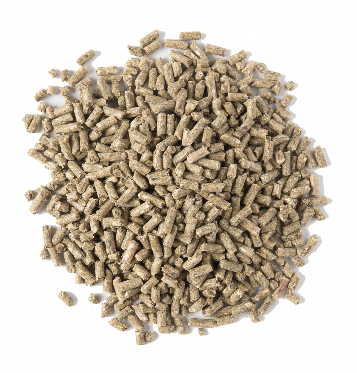ARK Precision 20kg