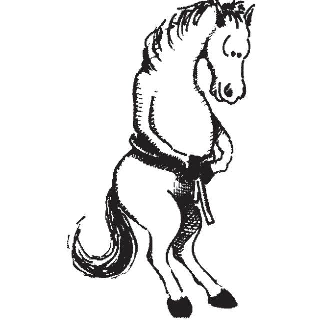 Horse and Pony Weight Tape