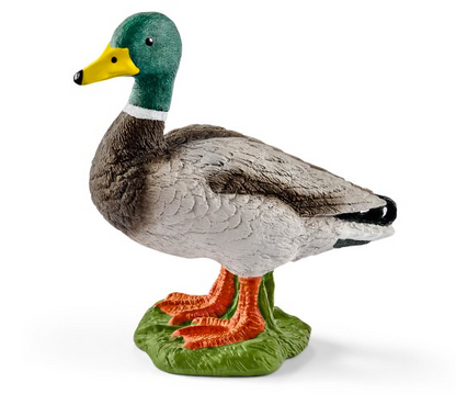 Drake Duck