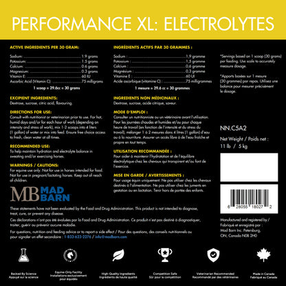 Mad Barn Performance XL: Electrolytes