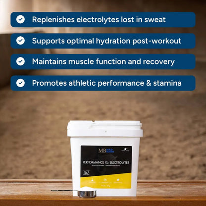 Mad Barn Performance XL: Electrolytes