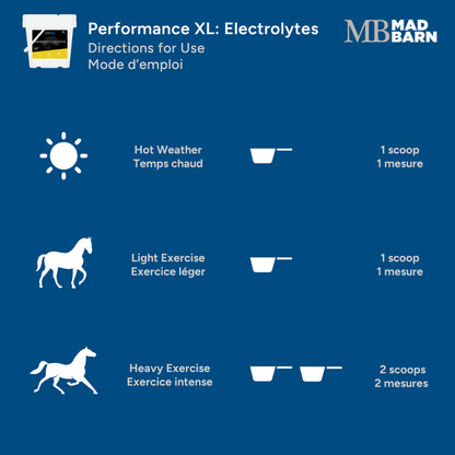 Mad Barn Performance XL: Electrolytes