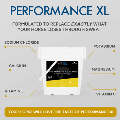 Mad Barn Performance XL: Electrolytes