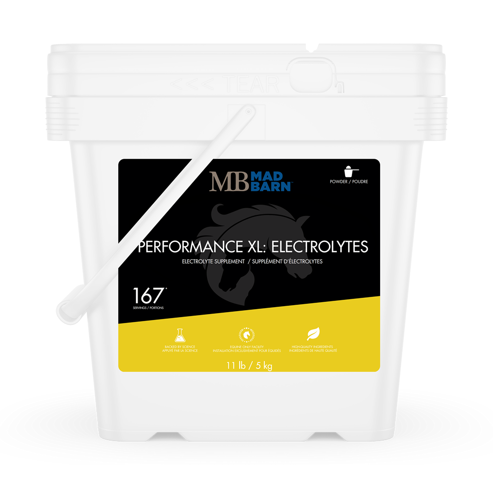 Mad Barn Performance XL: Electrolytes