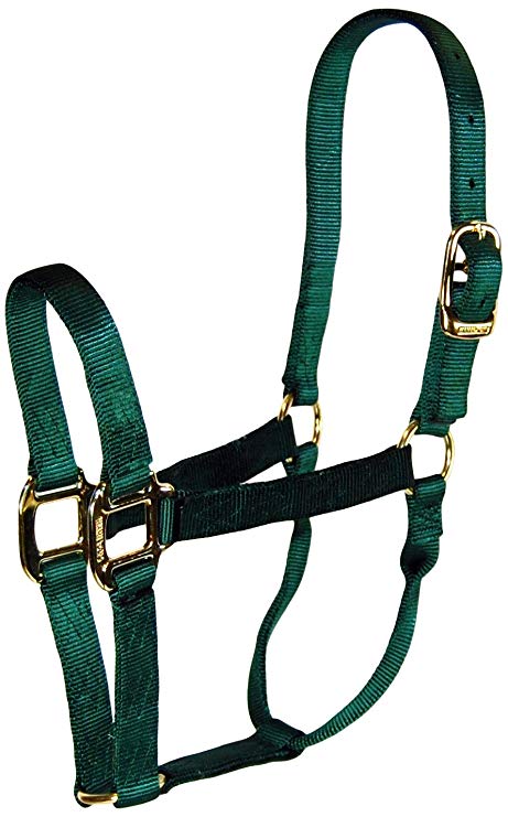 Hamilton Yearling Halter
