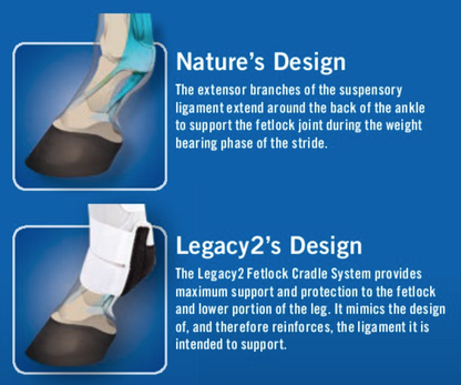Classic Equine Legacy Hind Boots