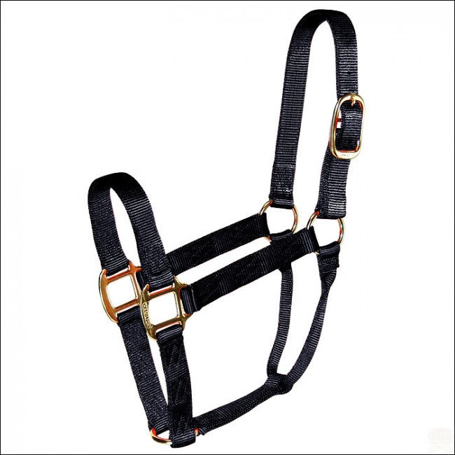 Hamilton Yearling Halter