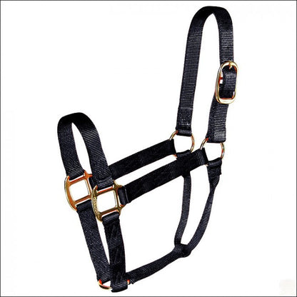 Hamilton Yearling Halter