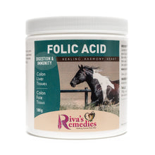 Folic Acid 100g