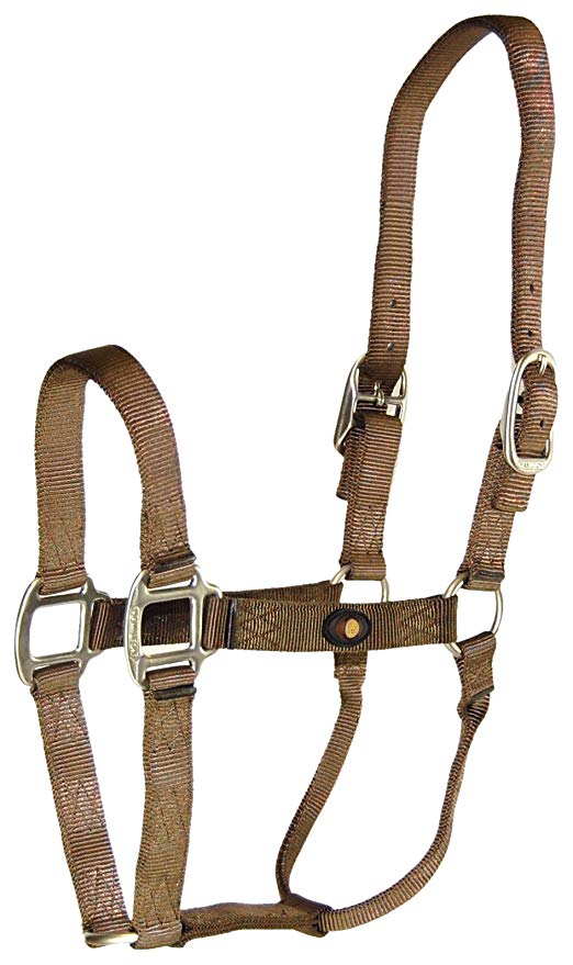 Hamilton Yearling Halter