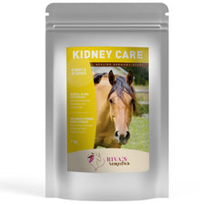 Kidney Care