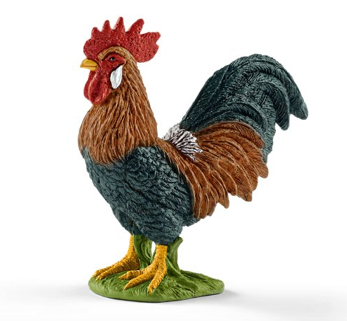 Rooster