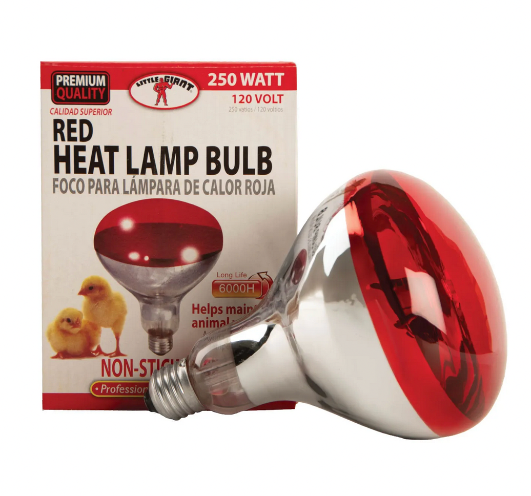 250W Heat Lamp Bulb