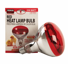 250W Heat Lamp Bulb