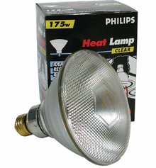 175W Heat Bulb
