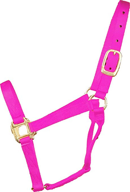 Hamilton Yearling Halter