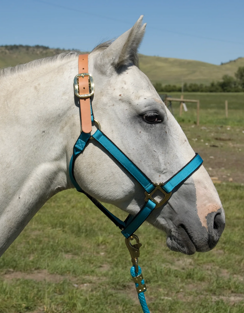 Burwash Ultimate Breakaway Halter