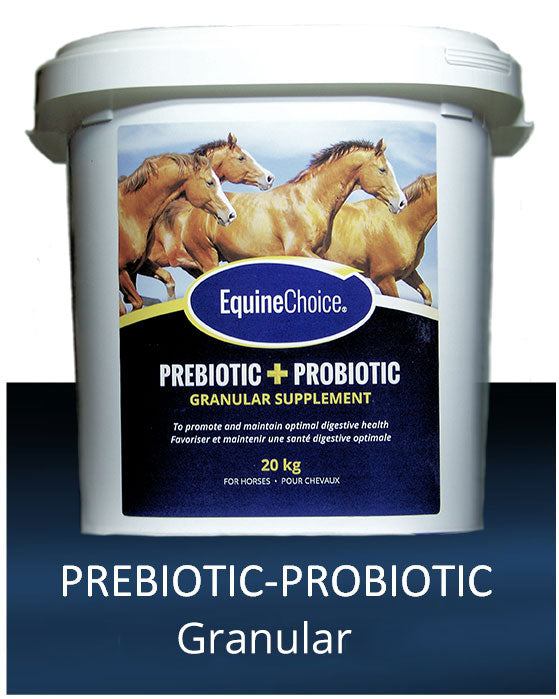 Equine Choice Pro+Prebiotic