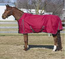Canadian Horsewear Diablo Habanera Turnout w/ Neck, 300gm Fill