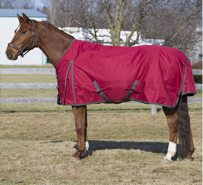 Canadian Horsewear Diablo Habanera Turnout w/ Neck, 300gm Fill