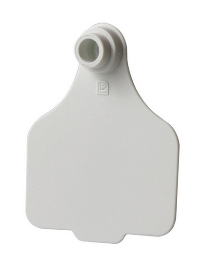 Leader Large Tags (25pk)