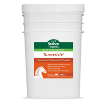 Stance EQ Turmericle 10kg