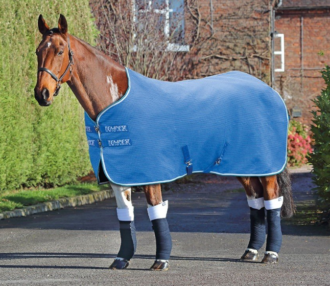 Shires Tempest Original Waffle Cooler Royal