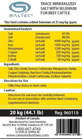Trace Mineral w/ Sel Block