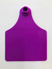 Allflex Tag