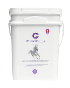 G's Formula for Horses