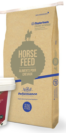 Masterfeeds Front Runner Loose Horse Mineral