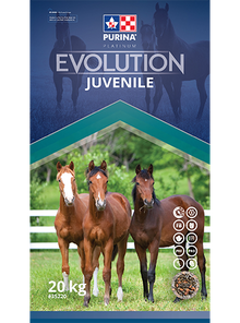 Purina Evolution Juvenile 20kg