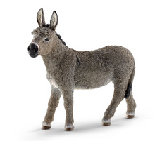 Donkey