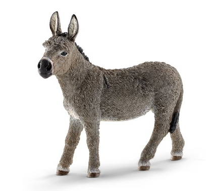 Donkey