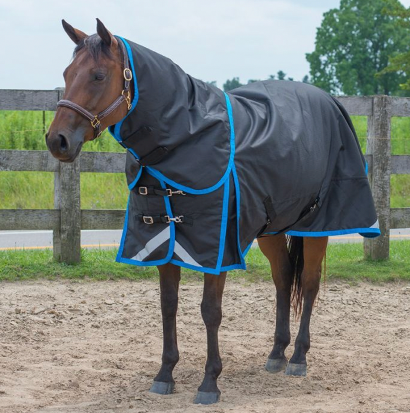 Canadian Horsewear Prince Diablo 160gm