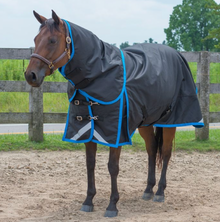 Canadian Horsewear Prince Diablo 160gm
