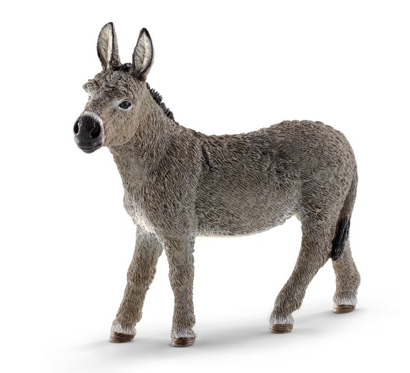 Donkey