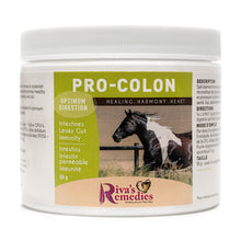 Rivas Pro-Colon