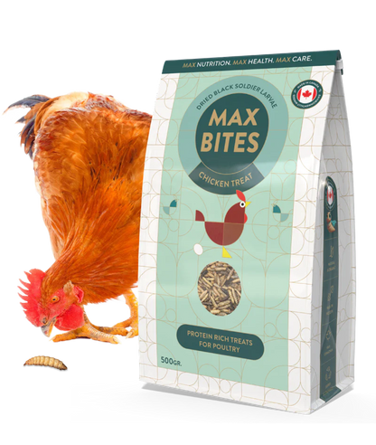 Max Bites BSF Larvae 2kg