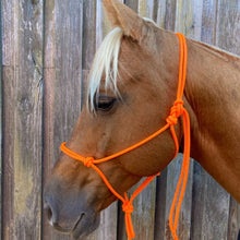 HiBrow Rope Halter Neon Orange