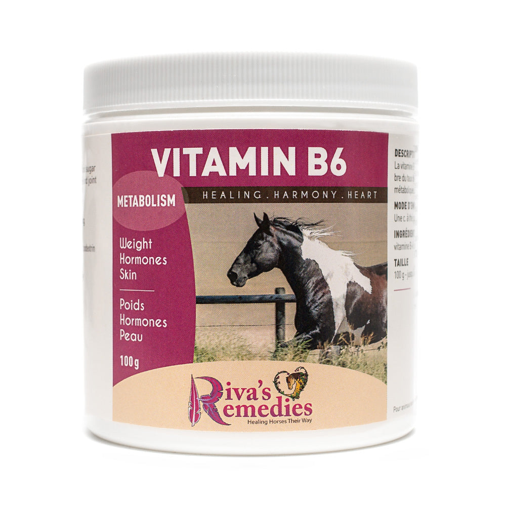 Rivas Vitamin B6 100g