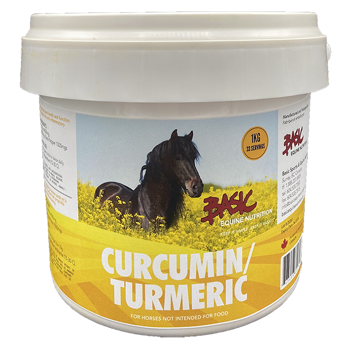 Basic Curcumin/Tumeric, 1kg
