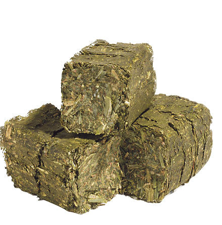Summit Forage Alfalfa Timothy Cubes 22kg